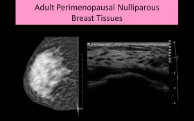 Breast Ultrasound Courses