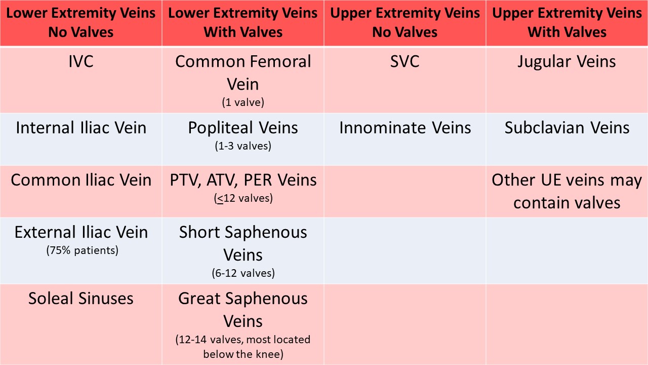 Valvular Anatomy